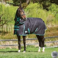 Weatherbeeta Green-Tec 900D Detach-A-Neck Medium Turnout - Black/Bottle Green -Equestrian Supplies 10044100 alt2