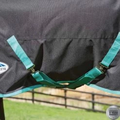 Weatherbeeta Green-Tec 900D Detach-A-Neck Medium Turnout - Black/Bottle Green -Equestrian Supplies 10044100 belly