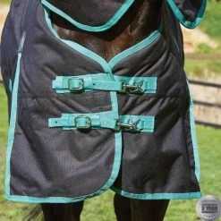 Weatherbeeta Green-Tec 900D Detach-A-Neck Medium Turnout - Black/Bottle Green -Equestrian Supplies 10044100 front
