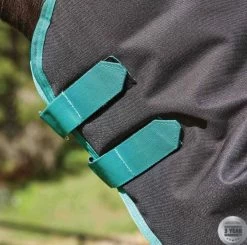 Weatherbeeta Green-Tec 900D Detach-A-Neck Medium Turnout - Black/Bottle Green -Equestrian Supplies 10044100 hood