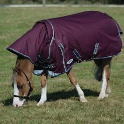 Weatherbeeta ComfiTec Plus Dynamic II Detach-A-Neck Lite- Maroon, Grey And White -Equestrian Supplies 10069160 B