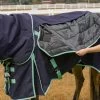 All Season Turnout Blanket - Navy