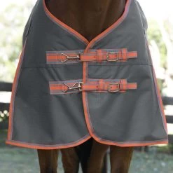 Weatherbeeta Comfitec Essential Plus Standard Neck - Lite - Light Grey, Orange And Blue -Equestrian Supplies 10192990 F
