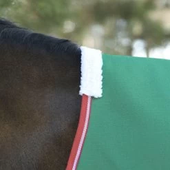 Weatherbeeta Comfitec Prelim Standard Neck - Lite - Dark Green, Red And White -Equestrian Supplies 10193030 B