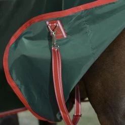 Weatherbeeta Comfitec Prelim Standard Neck - Lite - Dark Green, Red And White -Equestrian Supplies 10193030 D