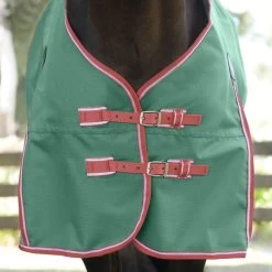 Weatherbeeta Comfitec Prelim Standard Neck - Lite - Dark Green, Red And White -Equestrian Supplies 10193030 F