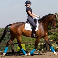 Dressage Wrap -Equestrian Supplies 11 2105 turq alt min