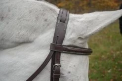 Aster Bridle - Australian Nut