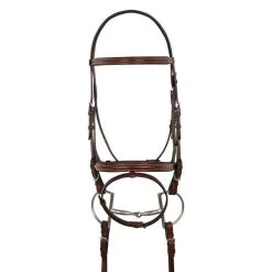 Raised Padded Event Bridle With Flash And Web Reins - OAKBARK