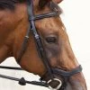 Innovativo English Bridle - Horse