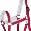Santa Halter - Red