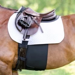 BellyBand+™ - Black