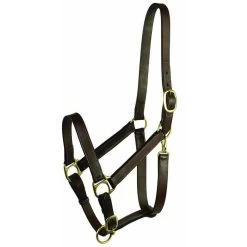 Gatsby Adjustable Halter With Snap - Cob - Havana