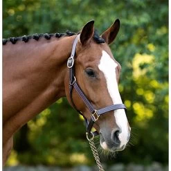 Pine Halter - Australian Nut