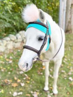 Pom Pom Bonnet - Aqua And Pink