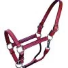 Triple Stitched Leather Halter - Chestnut
