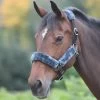 Breakaway Fleece Lined Headcollar - Black