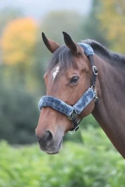 Breakaway Fleece Lined Headcollar - Black