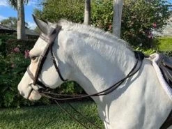 Pony Draw Reins - Brown