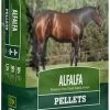 Premium Alfalfa Pellet - 40lbs - 40LB
