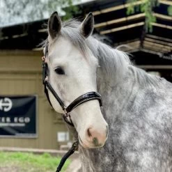 Aurelia Patent Halter - Black