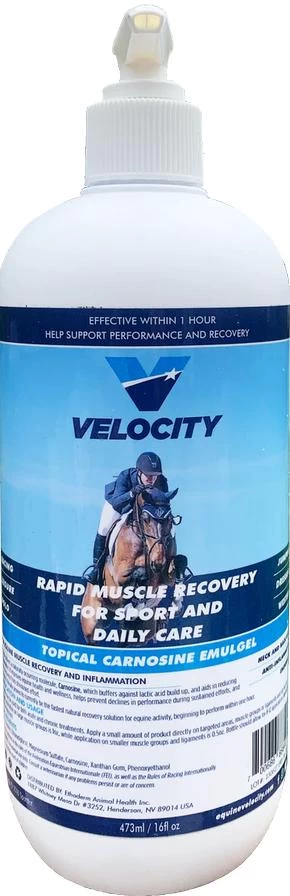 Velocity Carnosine Emulgel - 16oz - 16OZ 1 Velocity Carnosine Emulgel - 16oz - 16OZ