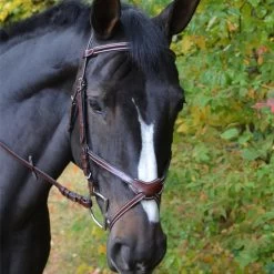 KL Italia Chase Figure 8 Bridle - Australian Nut