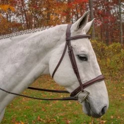 KL Italia Wellington Bridle - Australian Nut