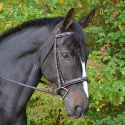 Cyprus Hunter Bridle - Australian Nut