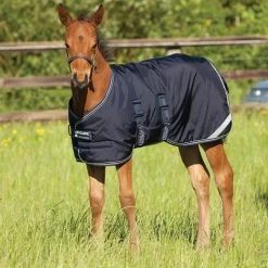 Amigo® Foal Rug Medium Weight Turnout Blanket - Navy And White