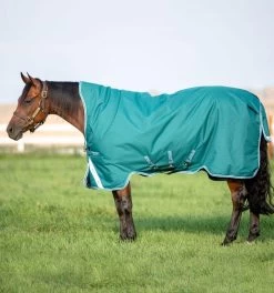 Amigo Bravo 12 Wug (250g Medium) - Storm Green With Aqua And Turquoise