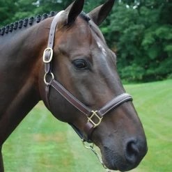 KL Select Kate Halter - Nut