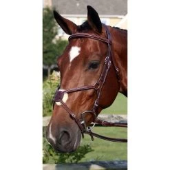 Milano Figure 8 Bridle - Havana