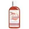 Hair Moisturizer™ - 16 Oz - 16OZ