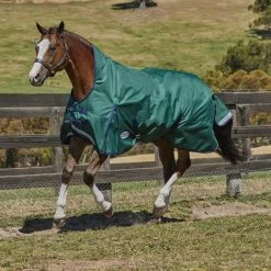 Weatherbeeta Comfitec Plus Dynamic High Neck Lite Turnout Sheet - Hunter/Navy