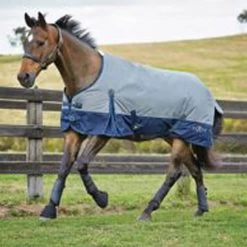 Saxon 600D Standard Medium Blanket - Grey/Navy