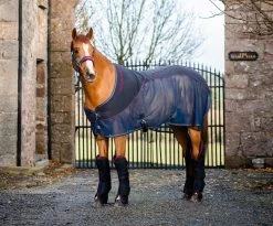 Rambo® Sport Cooler - Navy, Burgundy And Teal