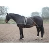 Lunging Aid - Black