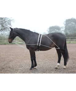 Lunging Aid - Black