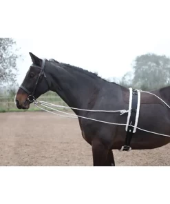 Lunging Aid - Black -Equestrian Supplies 435 C
