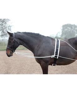Lunging Aid - Black -Equestrian Supplies 435 D