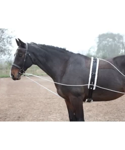 Lunging Aid - Black -Equestrian Supplies 435 E
