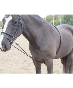 Soft Lunging Aid - Black
