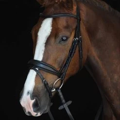 Collegiate Mono Crown Raised Padded Flash Bridle - FULL