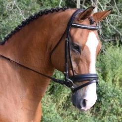 Larkspur Bridle With Reins - Black
