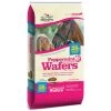 Peppermint Wafers - 20 Lbs - 20LB