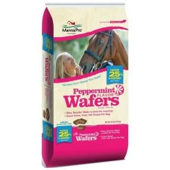 Peppermint Wafers - 20 Lbs - 20LB