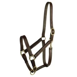 Gatsby Adjustable Halter With Snap - Horse - Brown