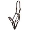 Walsh Sportsman Halter - Chestnut