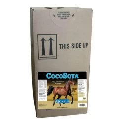 CocoSoya - 5 Gallon - 5GAL